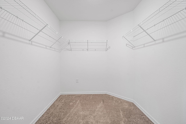 spacious closet with carpet flooring