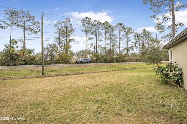 view of yard