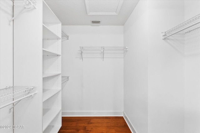 walk in closet featuring dark hardwood / wood-style floors