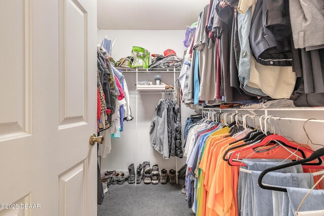 1692 Old Tomoka Rd Unit W, Ormond Beach, FL 32174 - walk in closet featuring carpet flooring