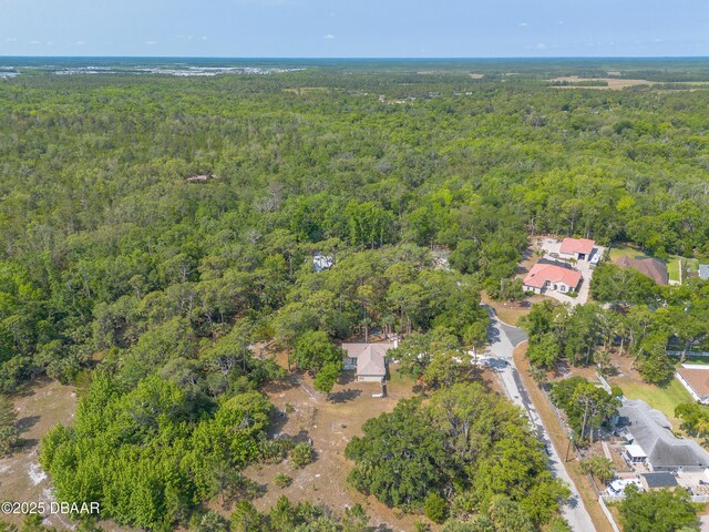 1692 Old Tomoka Rd Unit W, Ormond Beach, FL 32174 - aerial view of property's location with a heavily wooded area