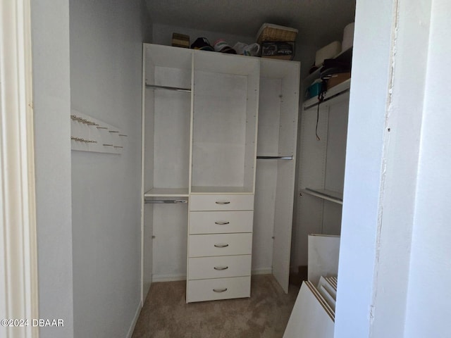 walk in closet featuring carpet floors