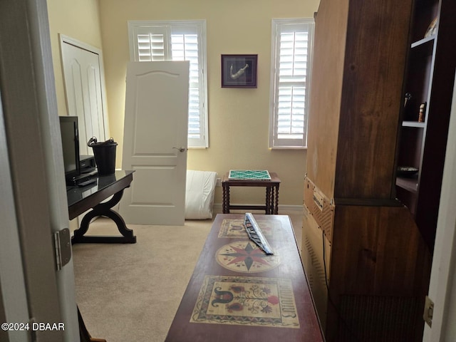 interior space with light carpet and plenty of natural light