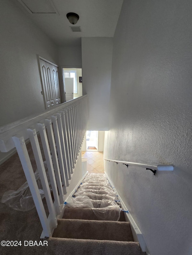 staircase featuring carpet floors