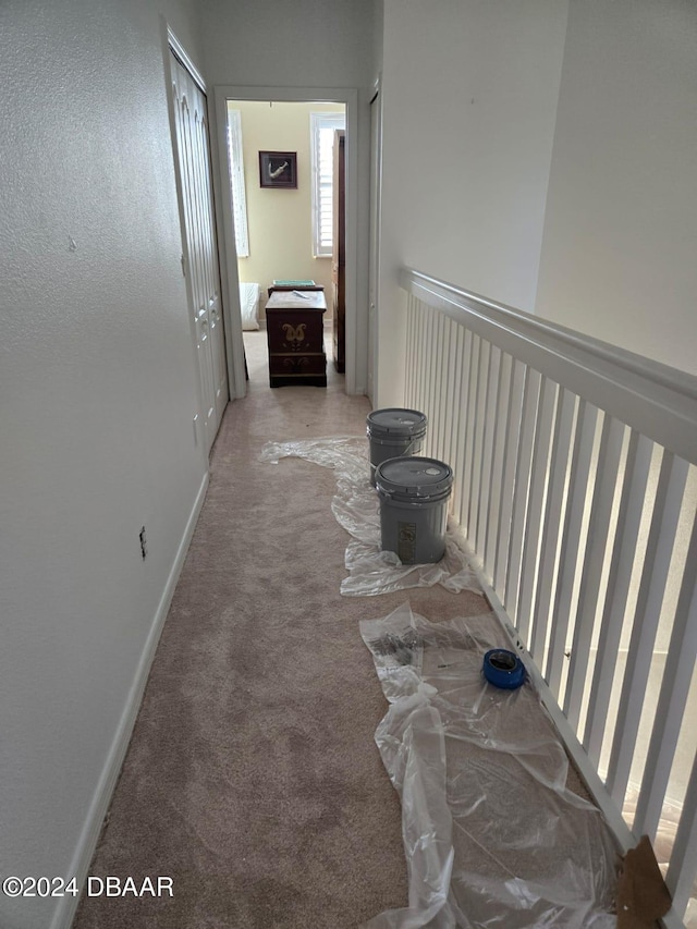 corridor featuring carpet floors