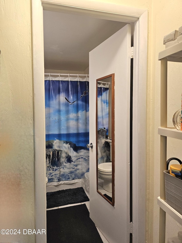1233 S Atlantic Ave Unit 3310, Daytona Beach, FL 32118 - full bath with toilet