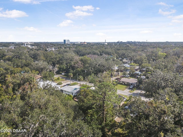 656 Winchester St, Daytona Beach, FL 32114 - birds eye view of property