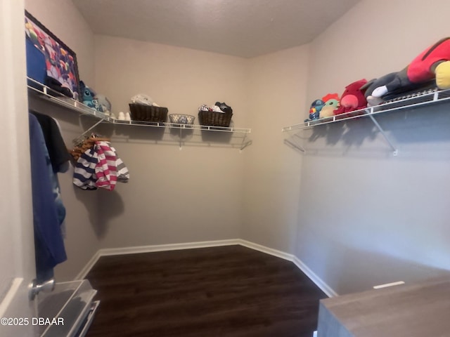 453 Tuscany Chase Dr, Daytona Beach, FL 32117 - walk in closet featuring wood finished floors