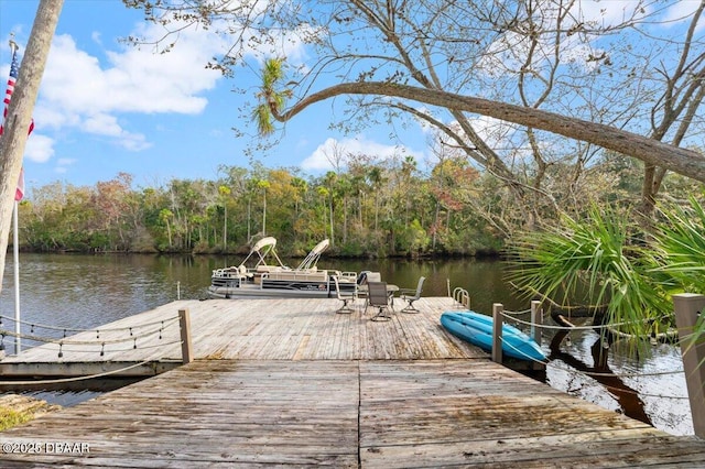 dock area featuring a water view