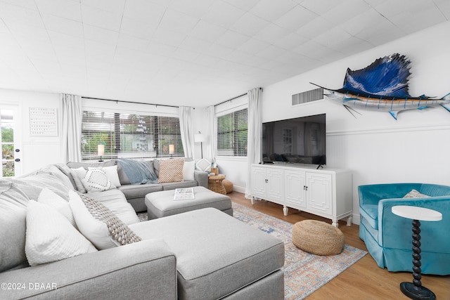 living room featuring hardwood / wood-style floors and plenty of natural light