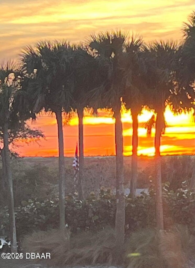 view of nature at dusk