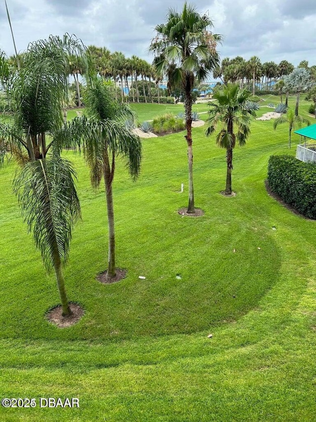 view of community featuring a lawn