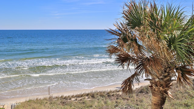 view of water feature featuring a beach view