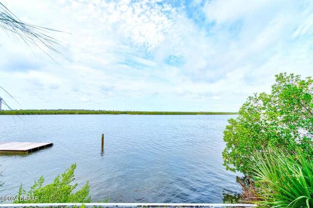 824 Eel Ave, New Smyrna Beach, FL 32169 - photo 8