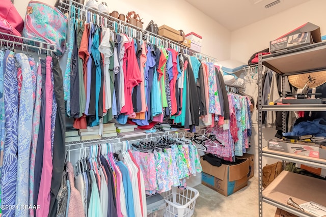 spacious closet featuring carpet