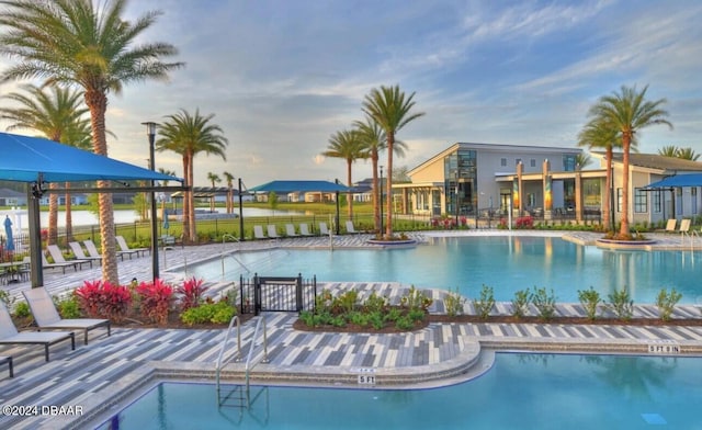 view of pool featuring a patio area