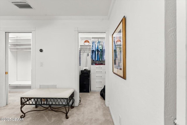 2667 John Anderson Dr, Ormond Beach, FL 32176 - hallway with light carpet and crown molding
