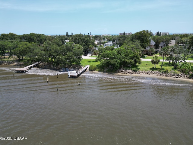 2667 John Anderson Dr, Ormond Beach, FL 32176 - water view featuring a tree filled landscape
