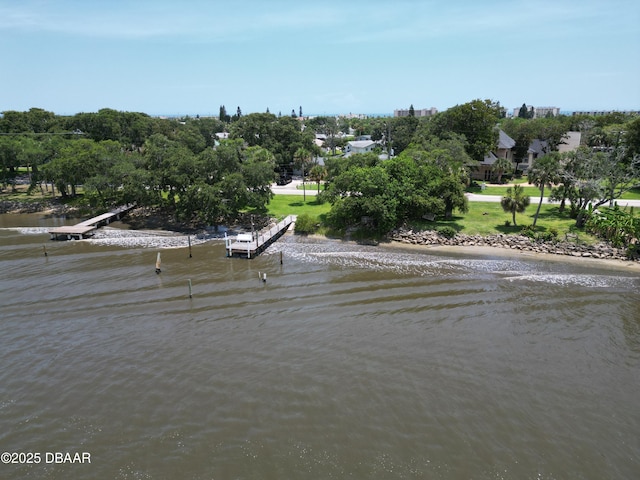 2667 John Anderson Dr, Ormond Beach, FL 32176 - water view featuring a boat dock and a tree filled landscape