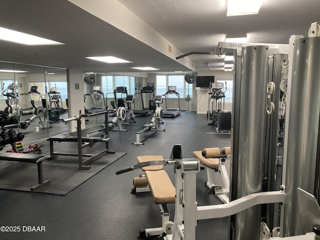 4555 S Atlantic Ave Unit 4209, Ponce Inlet, FL 32127 - workout area with plenty of natural light