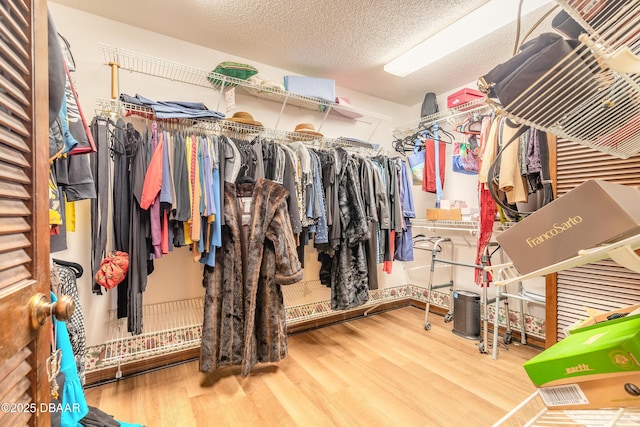walk in closet with wood finished floors