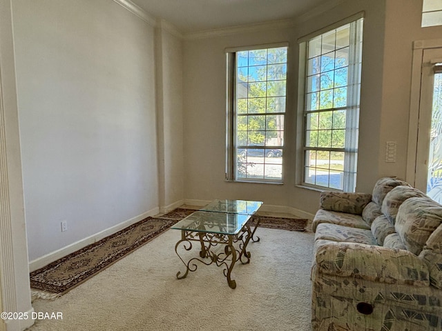 sitting room featuring carpet flooring and ornamental molding