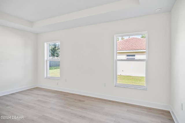 unfurnished room featuring a raised ceiling and light wood-type flooring