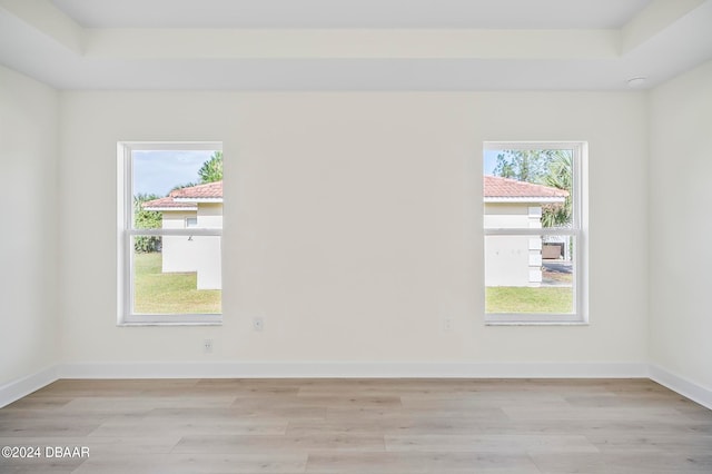 spare room featuring light wood-type flooring and a raised ceiling