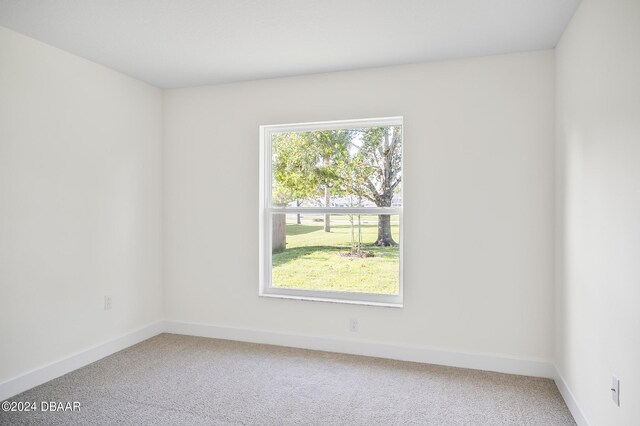111 Bird Of Paradise Dr, Palm Coast, FL 32137 - photo 47