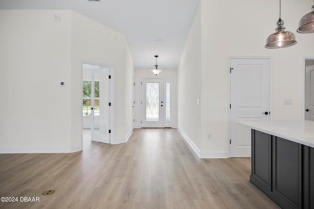 foyer entrance with light hardwood / wood-style floors