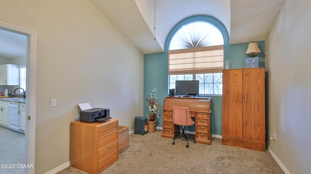 carpeted office with sink and a textured ceiling