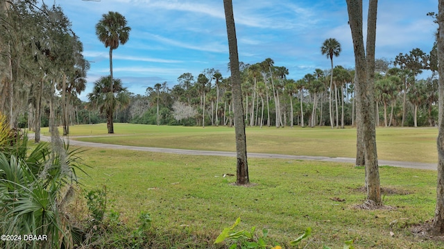 surrounding community featuring a yard