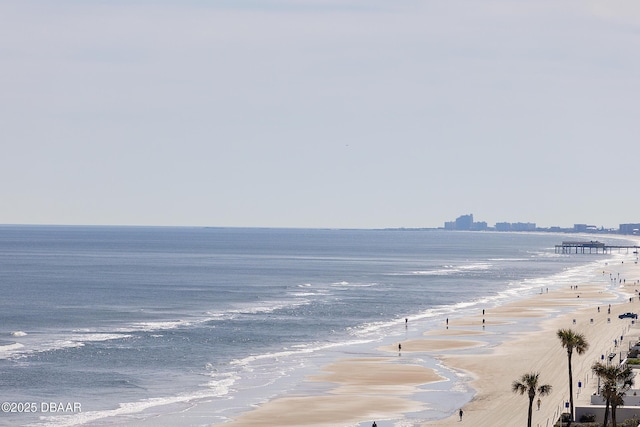 water view with a view of the beach