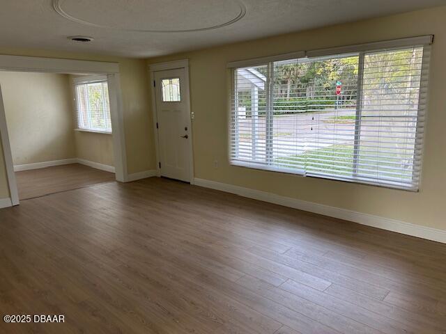 entryway featuring wood-type flooring