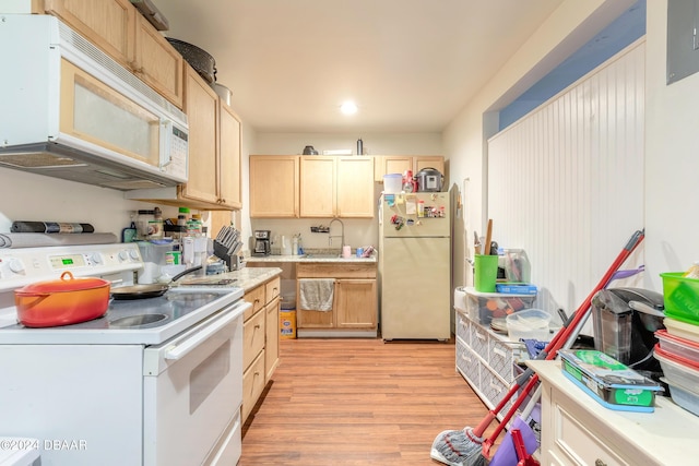 kitchen featuring light brown cabinets, white appliances, light hardwood / wood-style flooring, and sink