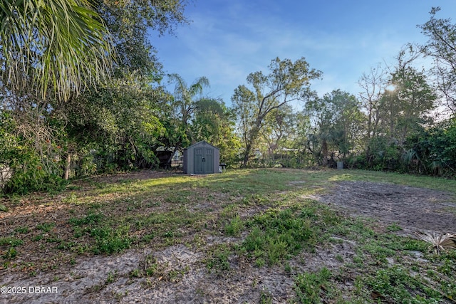 view of yard with a shed