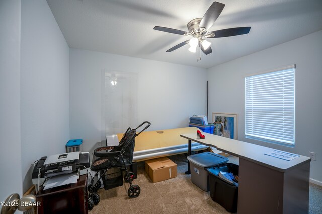 64 Birdfield Ct, Saint Augustine, FL 32092 - photo 14