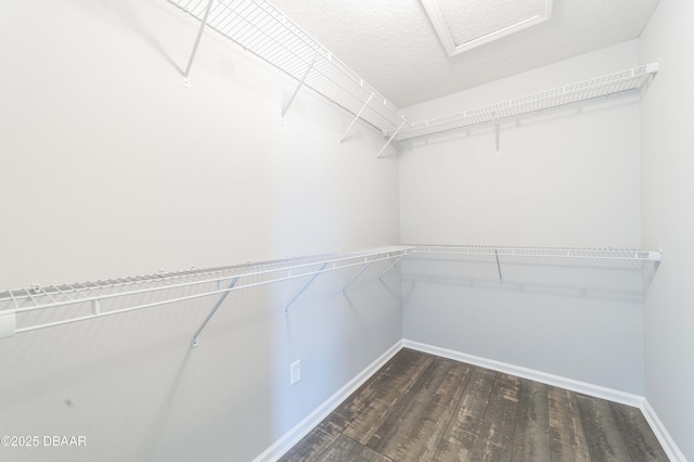 spacious closet with wood finished floors