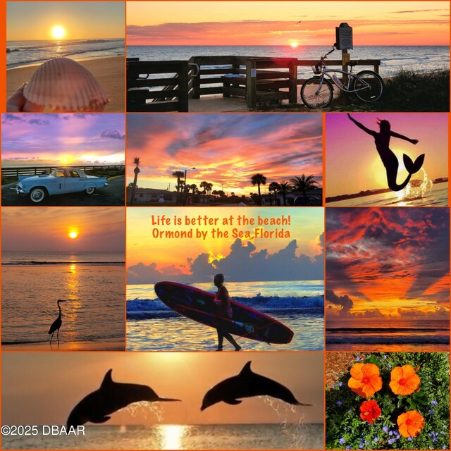 12 Sea Swallow Ter, Ormond Beach, FL 32176 - view of a document with a collage of images