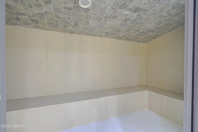 bathroom featuring tile patterned floors