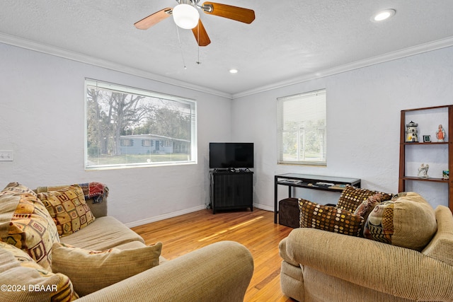 living room featuring a textured ceiling, light wood-type flooring, and crown molding