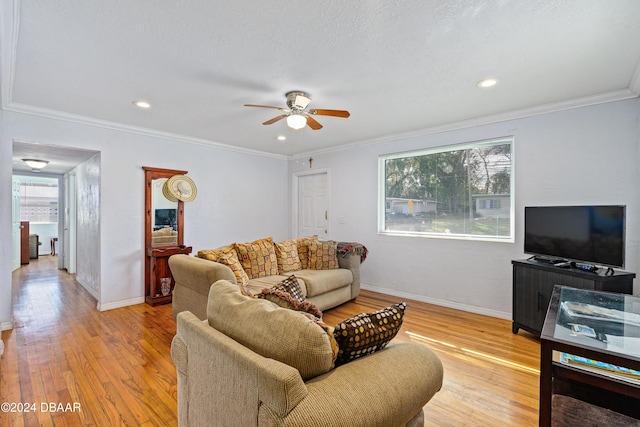 living room with ceiling fan, light hardwood / wood-style floors, and crown molding