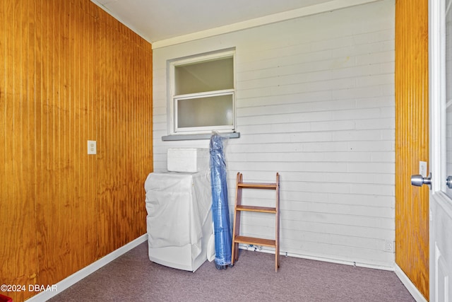 interior space with wooden walls