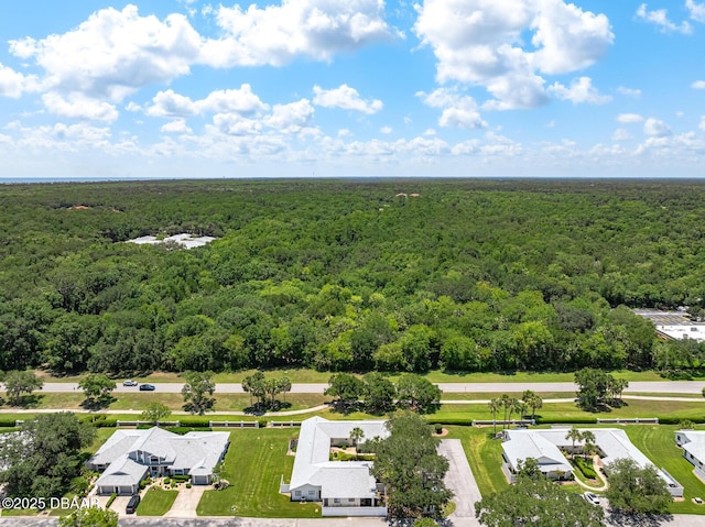 39 Lake Forest Pl, Palm Coast, FL 32137 - photo 56