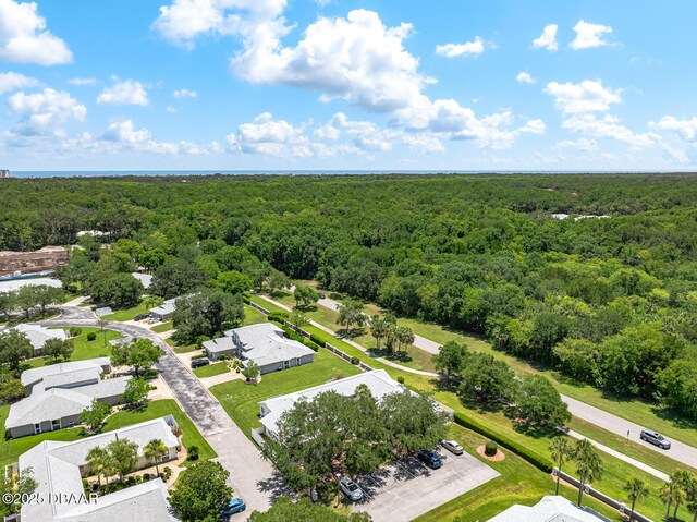 39 Lake Forest Pl, Palm Coast, FL 32137 - photo 49