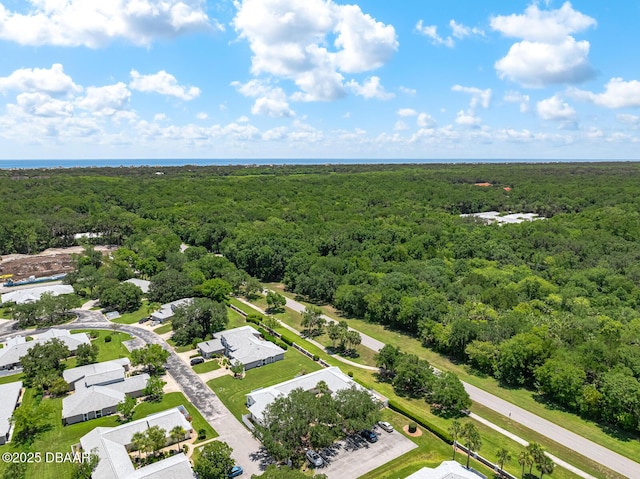 39 Lake Forest Pl, Palm Coast, FL 32137 - photo 57