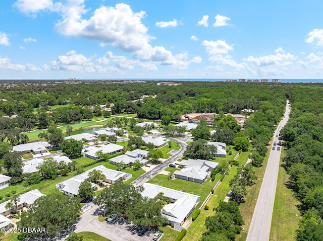 39 Lake Forest Pl, Palm Coast, FL 32137 - photo 50