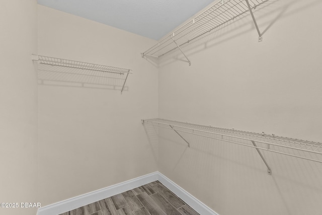 spacious closet featuring hardwood / wood-style flooring