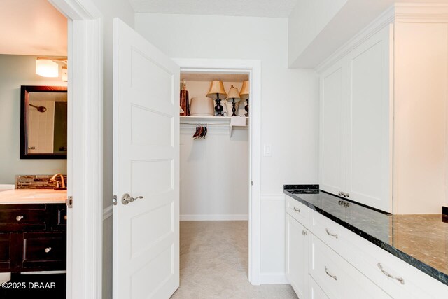 1133 Ocean Shore Blvd Unit 905, Ormond Beach, FL 32176 - spacious closet featuring light colored carpet and a sink