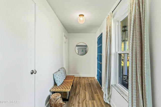 corridor with wood-type flooring